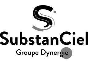 substanciel groupe dynergie
