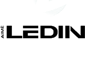 logo ledin