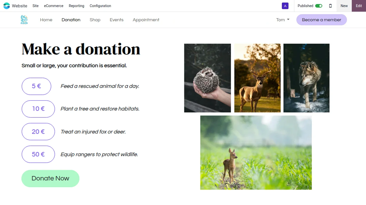 Créez un site web attrayant à l'aide du créateur Odoo basé sur l'IA